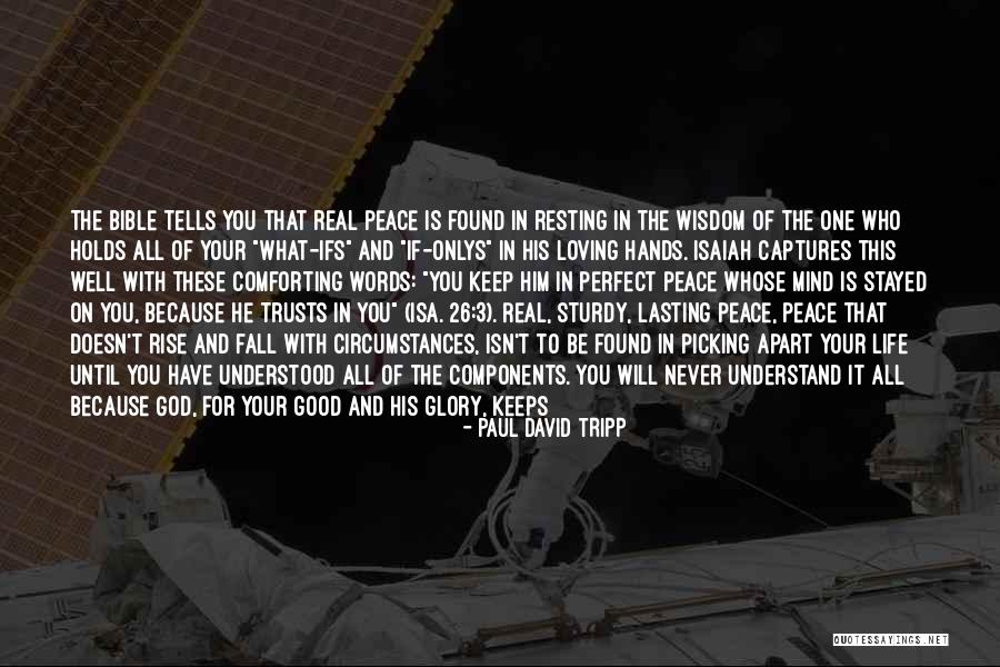 Resting In Peace Quotes By Paul David Tripp Resting In Peace Quotes By Paul David Tripp
