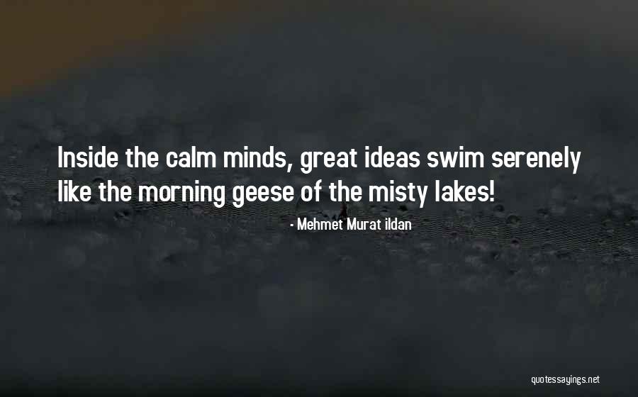 Restoration Of Soul Quotes By Mehmet Murat Ildan