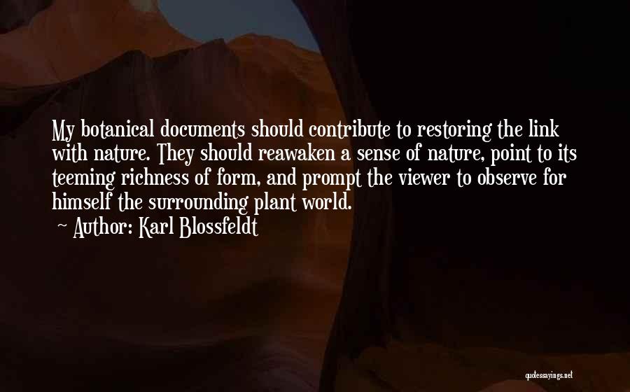 Restoring Quotes By Karl Blossfeldt