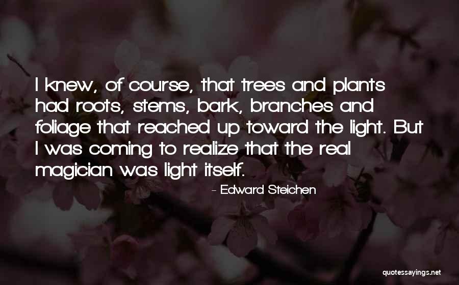 Restrictions Synonym Quotes By Edward Steichen Restrictions Synonym Quotes By Edward Steichen