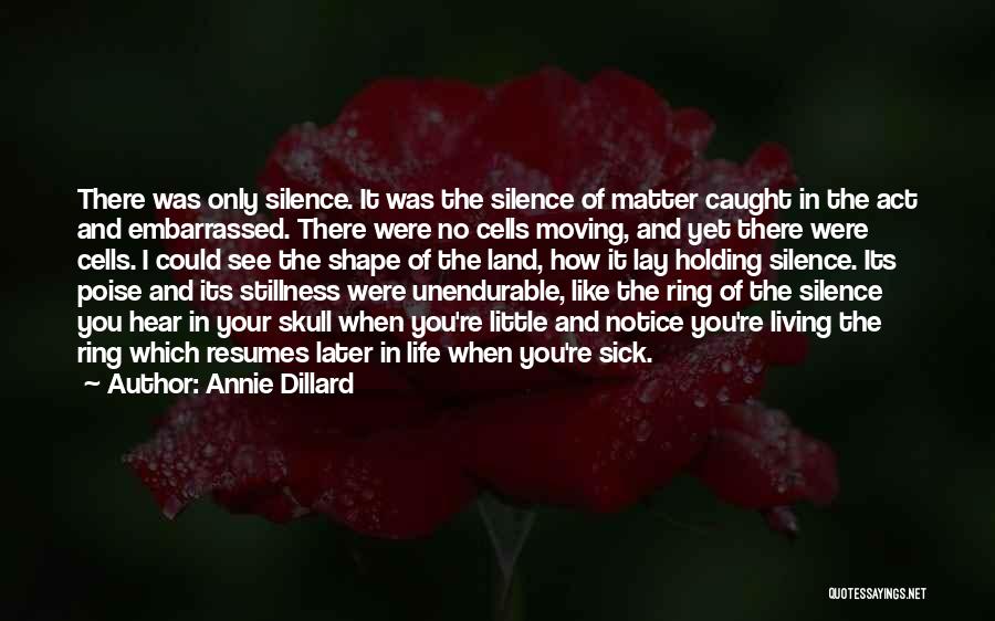 Resumes Quotes By Annie Dillard