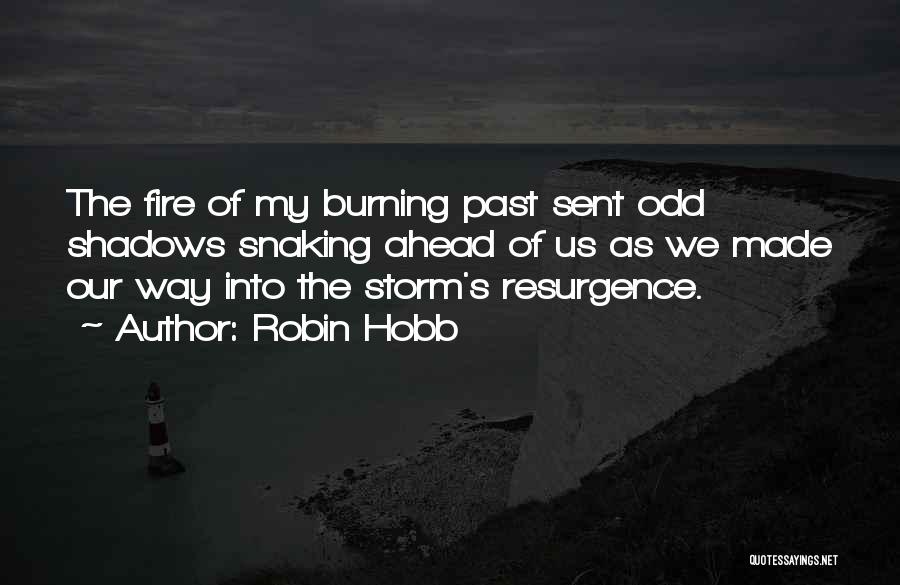 Resurgence Quotes By Robin Hobb