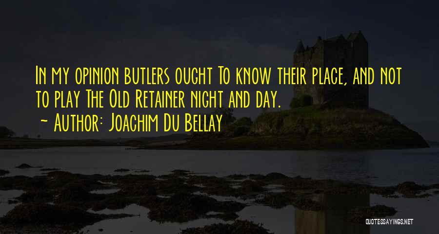 Retainer Quotes By Joachim Du Bellay