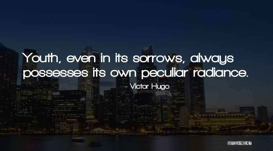 Retaliating Meeting Quotes By Victor Hugo Retaliating Meeting Quotes By Victor Hugo