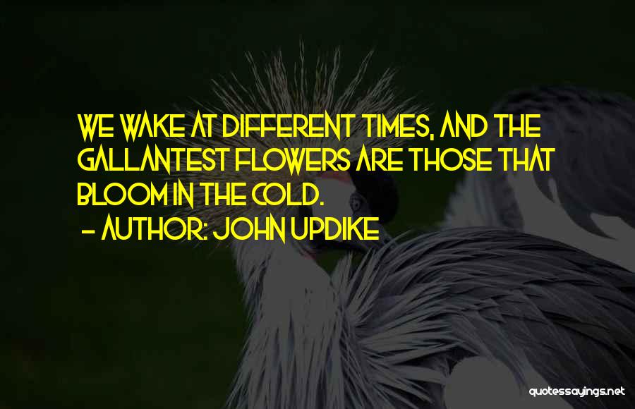 Retardado Mental Quotes By John Updike