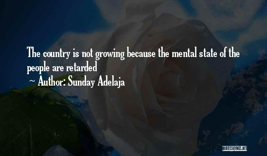 Retardation Quotes By Sunday Adelaja