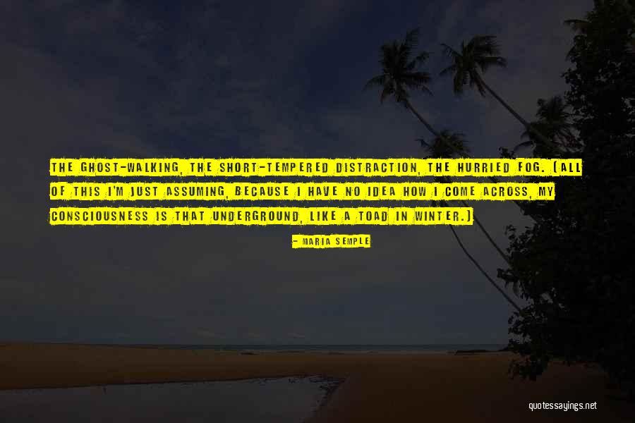 Retardation Synonym Quotes By Maria Semple Retardation Synonym Quotes By Maria Semple