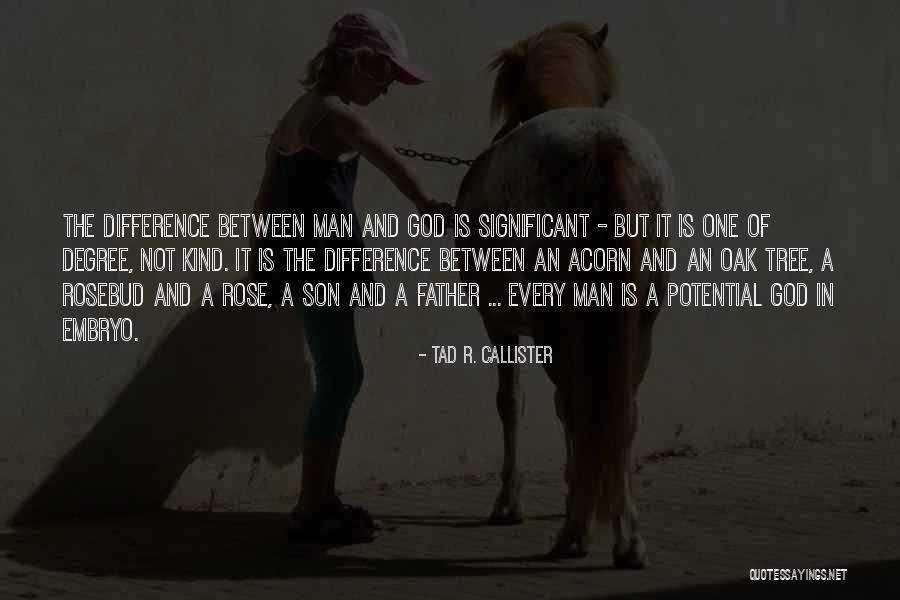 Retarded Feminist Quotes By Tad R. Callister Retarded Feminist Quotes By Tad R. Callister