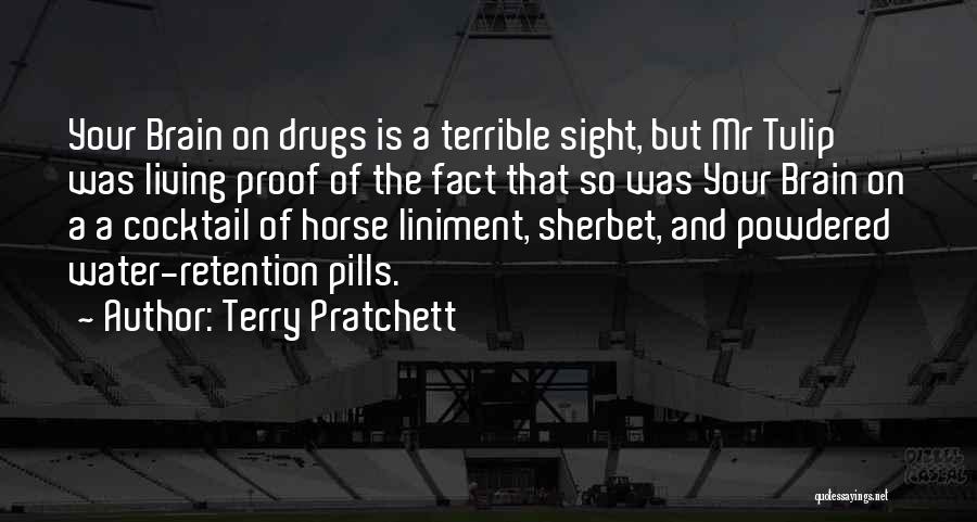 Retention Quotes By Terry Pratchett