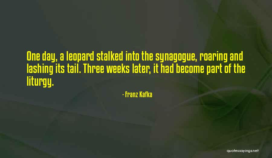 Reticulocytes Histology Quotes By Franz Kafka Reticulocytes Histology Quotes By Franz Kafka