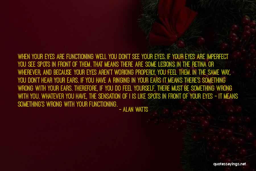 Retina Quotes By Alan Watts