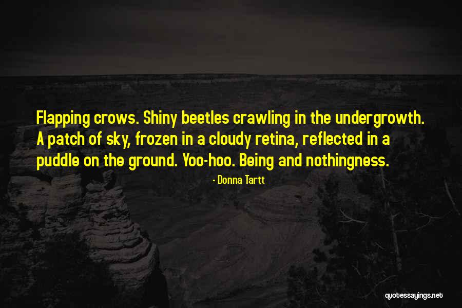 Retina Quotes By Donna Tartt Retina Quotes By Donna Tartt