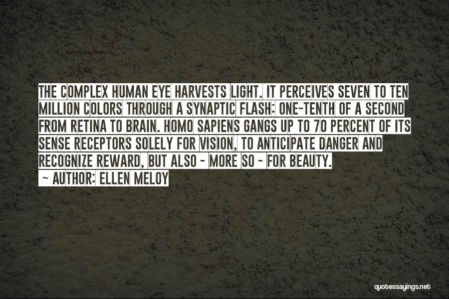 Retina Quotes By Ellen Meloy