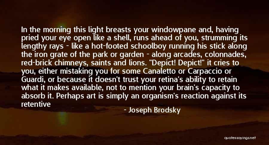 Retina Quotes By Joseph Brodsky