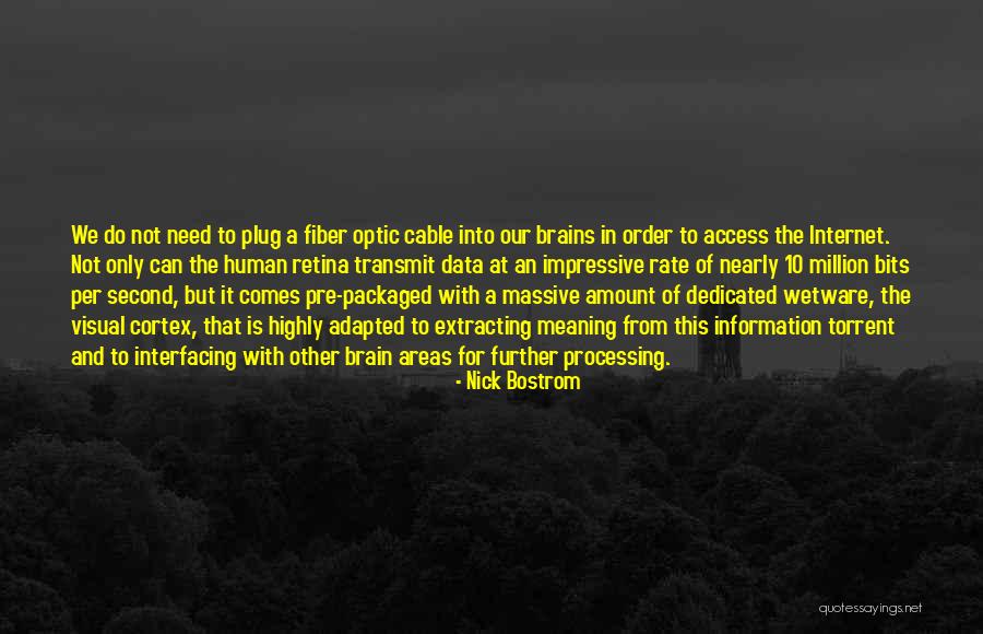 Retina Quotes By Nick Bostrom Retina Quotes By Nick Bostrom