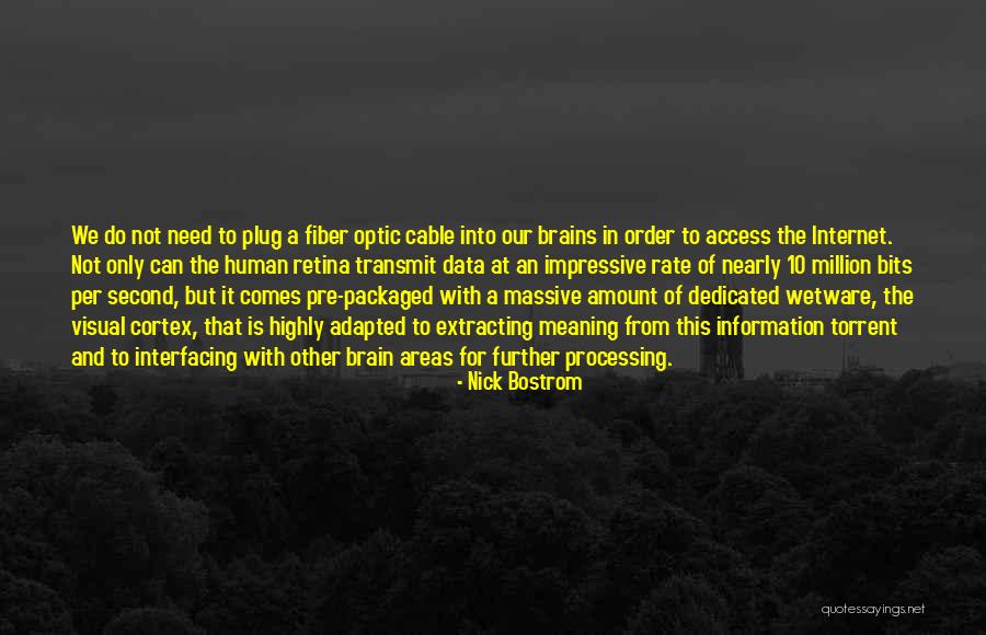 Retina Quotes By Nick Bostrom