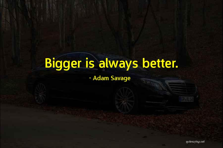 Retirement Flyer Quotes By Adam Savage Retirement Flyer Quotes By Adam Savage