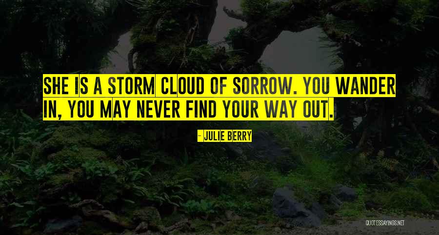 Retorica Quotes By Julie Berry Retorica Quotes By Julie Berry