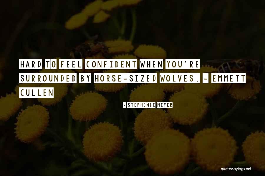 Retoucherie Quotes By Stephenie Meyer Retoucherie Quotes By Stephenie Meyer