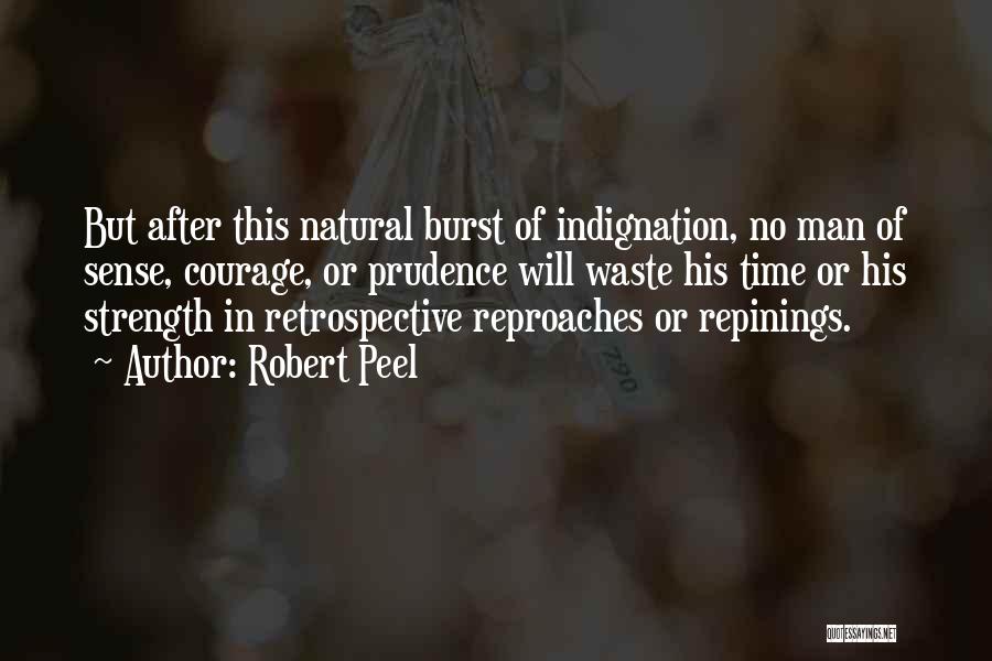 Retrospective Quotes By Robert Peel