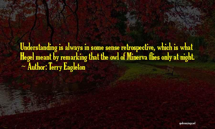 Retrospective Quotes By Terry Eagleton