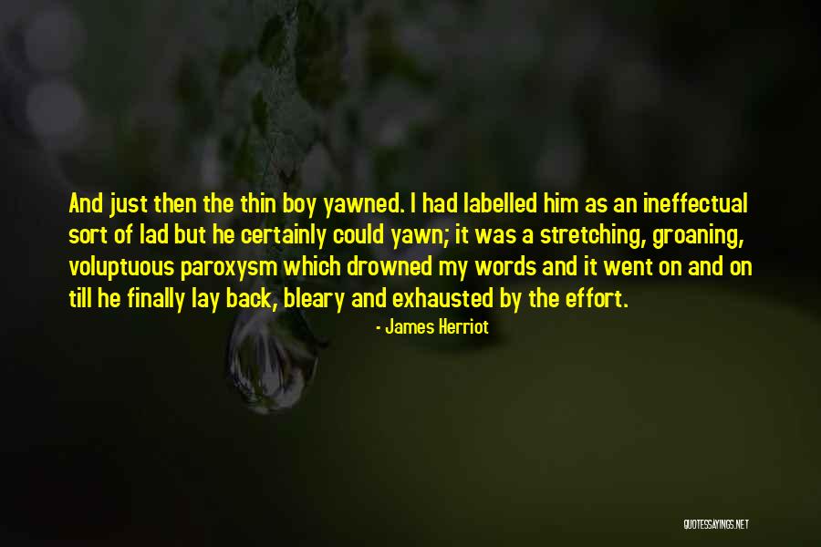 Retrospective Voting Quotes By James Herriot Retrospective Voting Quotes By James Herriot