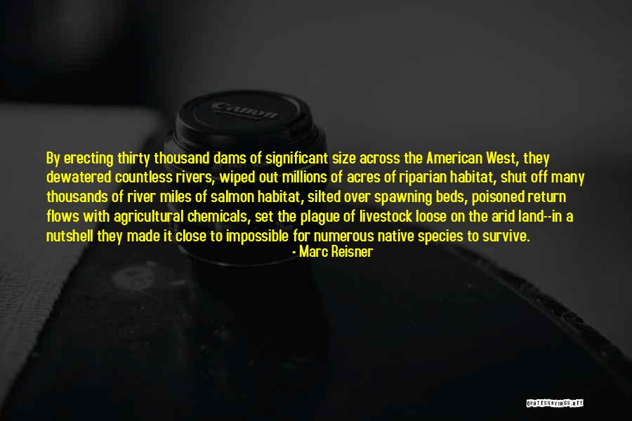 Return Of The Native Quotes By Marc Reisner Return Of The Native Quotes By Marc Reisner