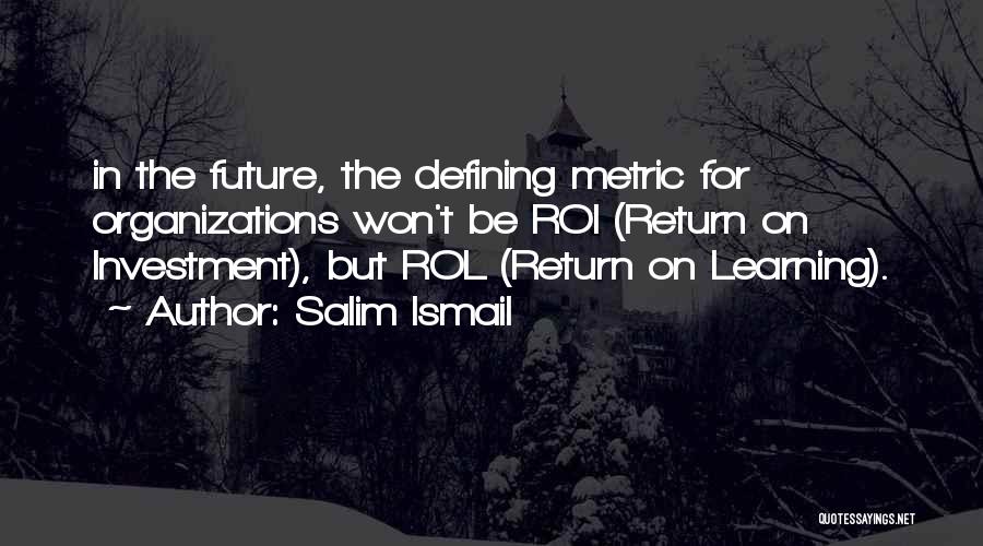 Return On Investment Quotes By Salim Ismail