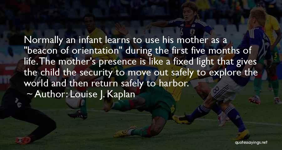 Return Safely Quotes By Louise J. Kaplan