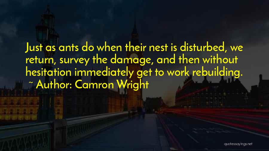 Return To Work Quotes By Camron Wright