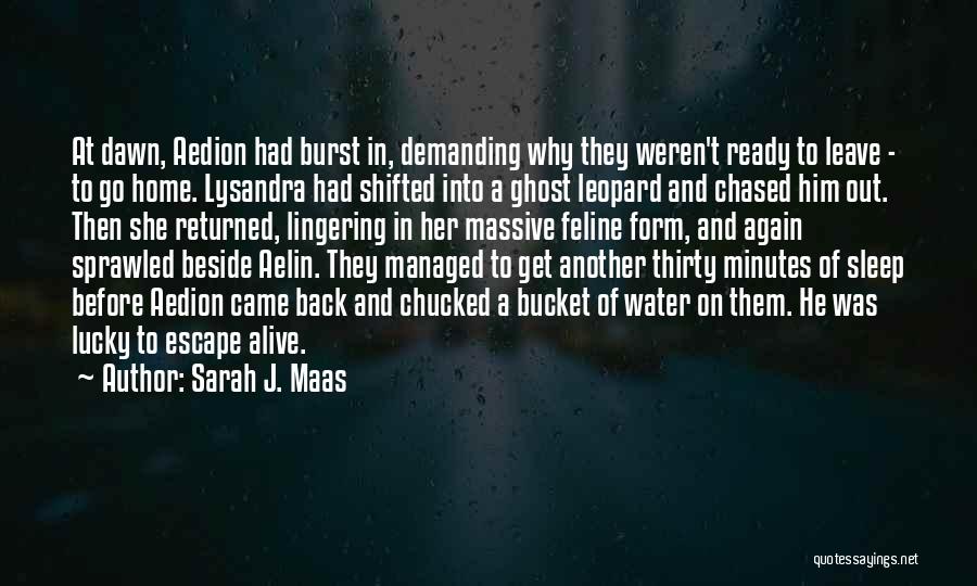 Returned Back Quotes By Sarah J. Maas