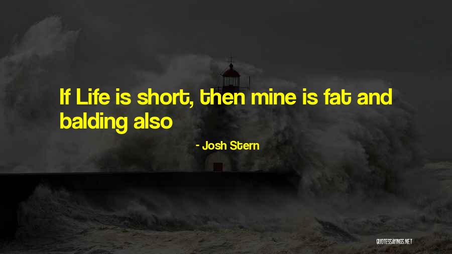Returnee Program Quotes By Josh Stern Returnee Program Quotes By Josh Stern