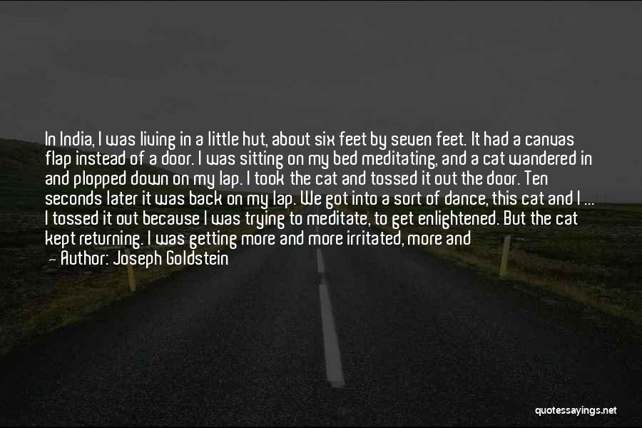 Returning Back Quotes By Joseph Goldstein