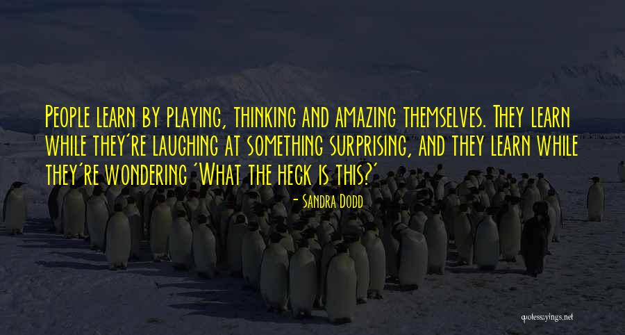 Retyper Quotes By Sandra Dodd Retyper Quotes By Sandra Dodd