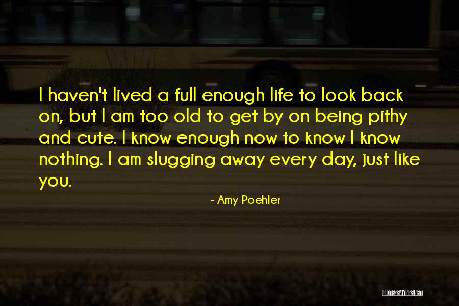 Reunidas In English Quotes By Amy Poehler Reunidas In English Quotes By Amy Poehler