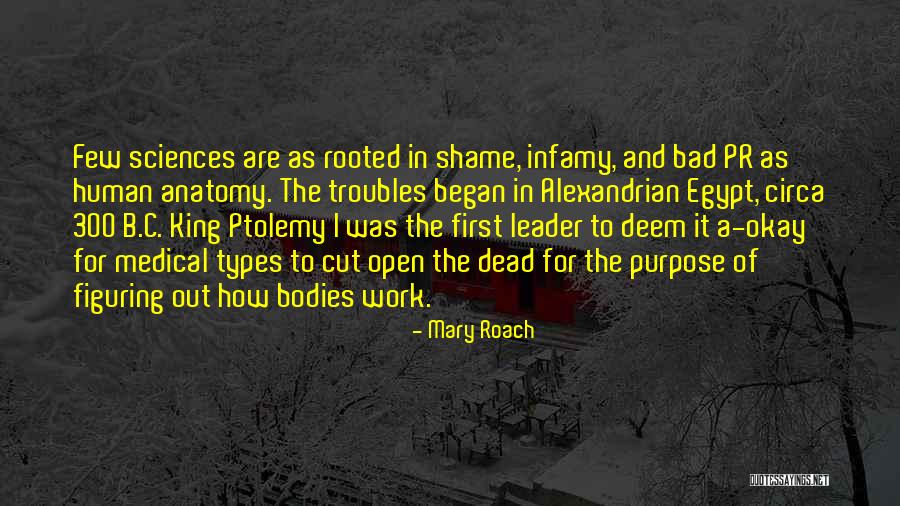 Reunidas Passagem Quotes By Mary Roach Reunidas Passagem Quotes By Mary Roach