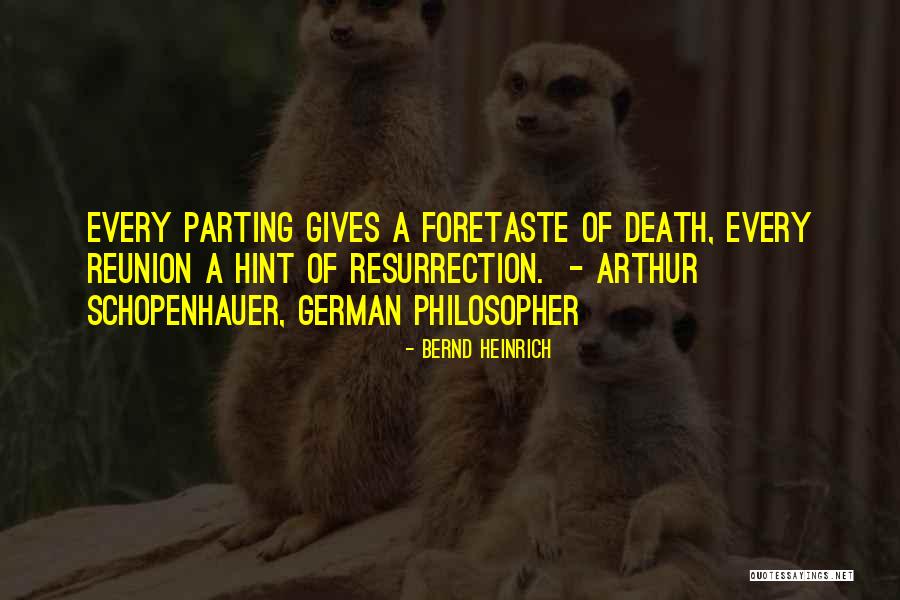 Reunion In Death Quotes By Bernd Heinrich Reunion In Death Quotes By Bernd Heinrich