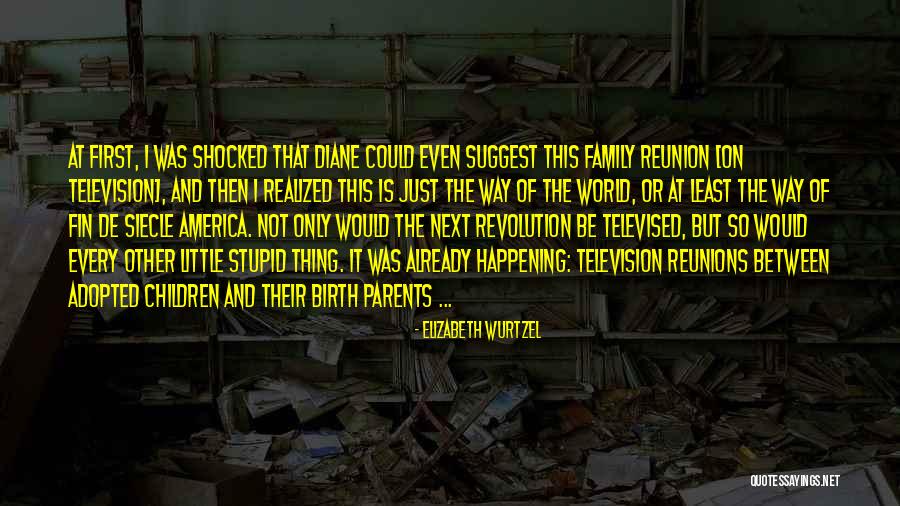 Reunions Quotes By Elizabeth Wurtzel Reunions Quotes By Elizabeth Wurtzel