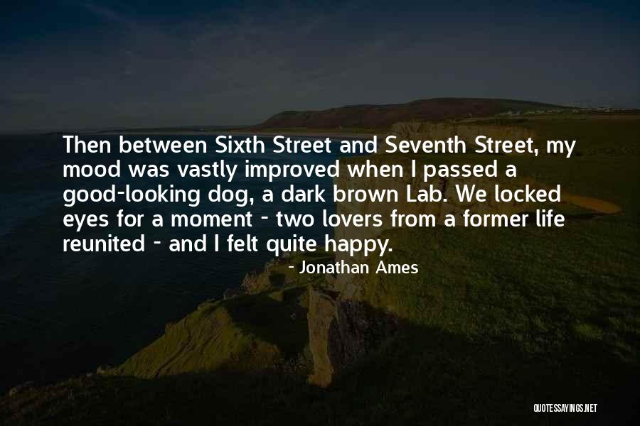 Reunited Lovers Quotes By Jonathan Ames