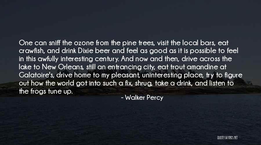 Reuther Ford Quotes By Walker Percy Reuther Ford Quotes By Walker Percy