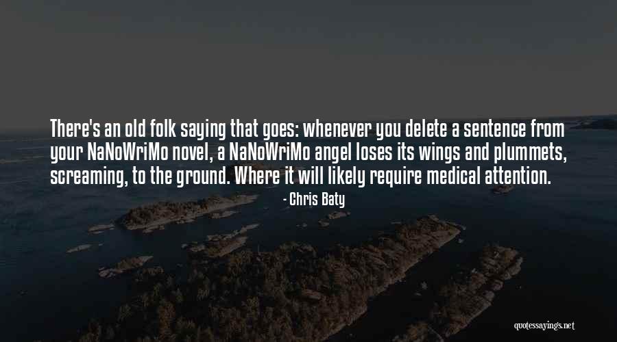 Revalinas Temat Quotes By Chris Baty Revalinas Temat Quotes By Chris Baty