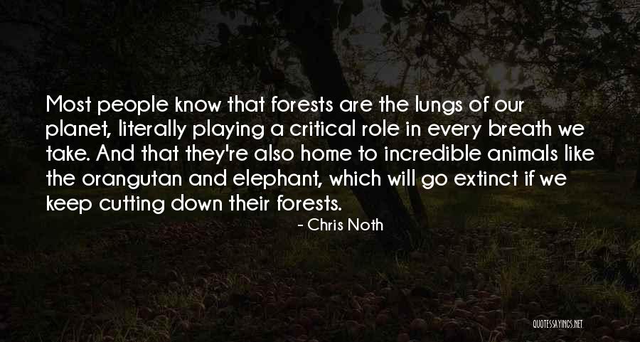 Revcovery Quotes By Chris Noth Revcovery Quotes By Chris Noth