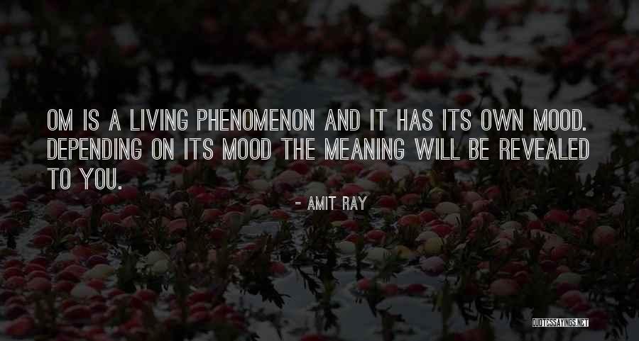 Revealed Quotes By Amit Ray