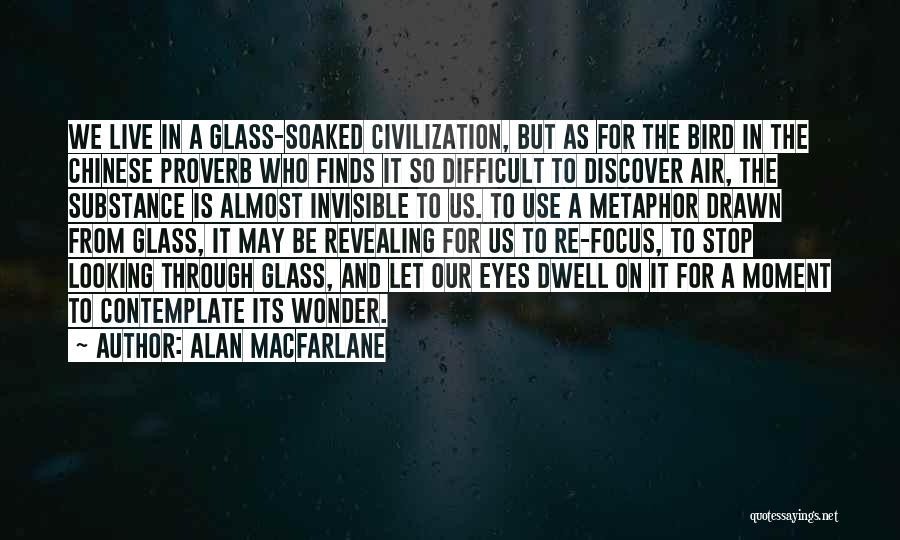 Revealing Eyes Quotes By Alan Macfarlane