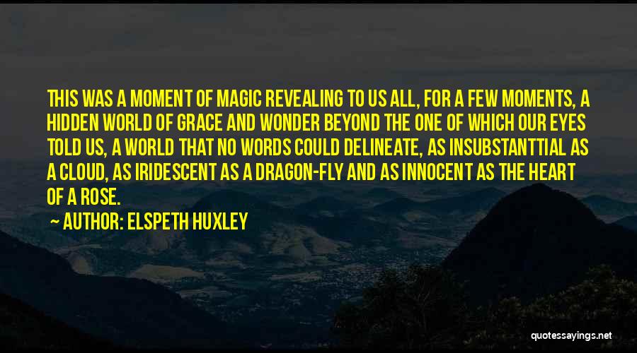 Revealing Eyes Quotes By Elspeth Huxley