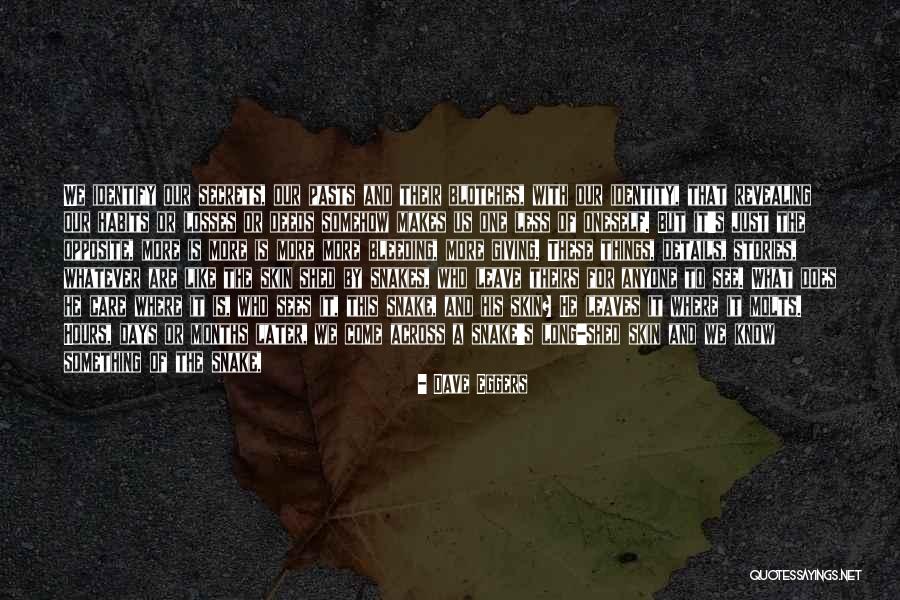 Revealing Secrets Quotes By Dave Eggers Revealing Secrets Quotes By Dave Eggers