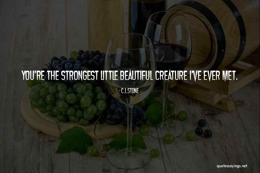 Revelamide Quotes By C.L.Stone Revelamide Quotes By C.L.Stone