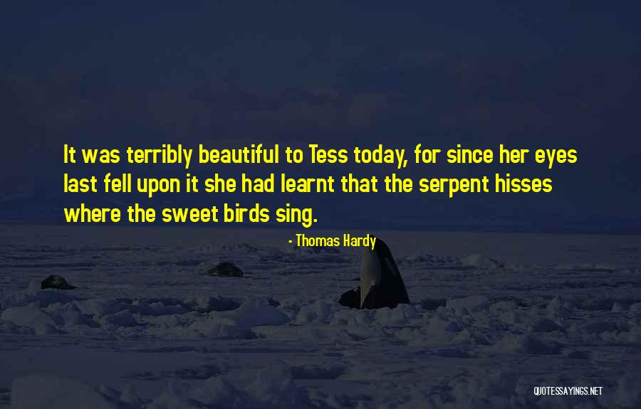 Revelar Sinonimos Quotes By Thomas Hardy Revelar Sinonimos Quotes By Thomas Hardy