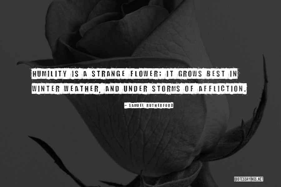 Revelarse Quotes By Samuel Rutherford Revelarse Quotes By Samuel Rutherford
