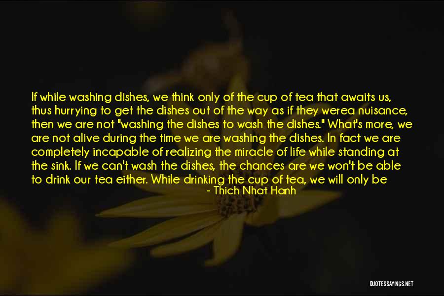 Revelatory Threat Quotes By Thich Nhat Hanh Revelatory Threat Quotes By Thich Nhat Hanh
